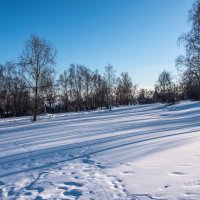 Длинные тени. :: Владимир Безбородов