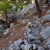 Ущелье Agias Irini, Крит :: Владимир Брагилевский