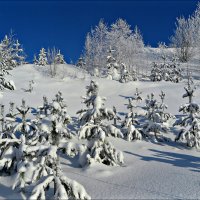Зимний пейзаж :: Leonid Rutov