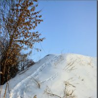 Карамышево 15февраля. :: Юрий Ефимов