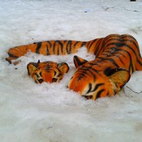 Весна. Тигры выходят из берлог) :: Владислава Андрюнина