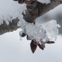 Предчувствие... :: Вячеслав Медведев