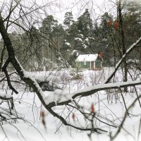 Заповедник сказок :: Василий Ахатов