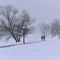 В метель :: Сергей 