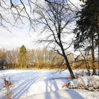 Солнечным февральским днём :: Маргарита Батырева