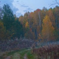 Перед закатом :: Руслан Веселов