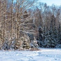 Зимние пейзажи :: Владимир Лазарев