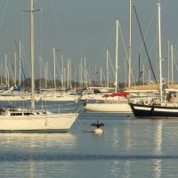 Parking :: Naum 