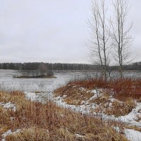 Пасмурным февральским днем :: Маргарита Батырева