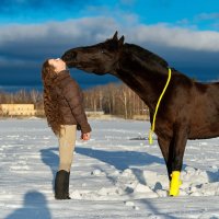 Подружки :: Андрей Куприянов