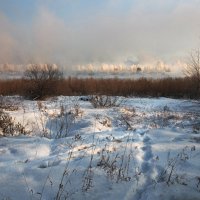 Дело было в январе... :: Александр Попов