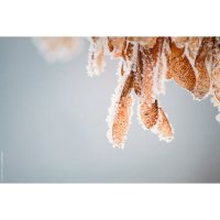 Зима :: Марина Киреева