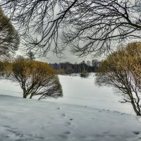 Февральская картина. :: Анатолий. Chesnavik.