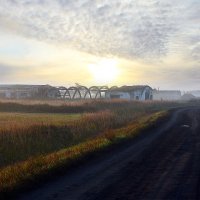 Снится  мне  деревня... :: Геннадий Супрун