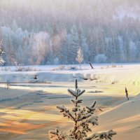 В лучах вечернего солнышка :: Александр 