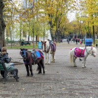 Осень на Соборке. :: Вахтанг Хантадзе