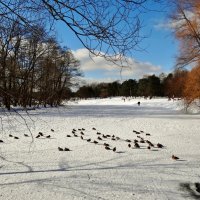 зимнее озеро :: Валентина. .