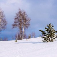 На склоне :: Любовь Потеряхина