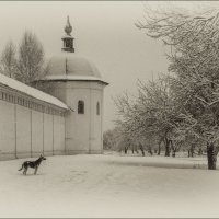 Свенский монастырь :: Лариса Березуцкая