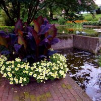 Planten un Blomen. Hamburg :: Nina Yudicheva