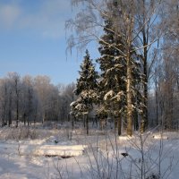 Зимний пейзаж. :: ТАТЬЯНА (tatik)