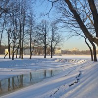 в Лопухинском саду :: Елена 