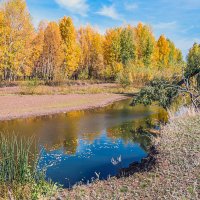 Краски осени :: Любовь Потеряхина