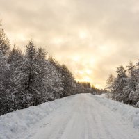 Зимние виды :: Владимир Лазарев