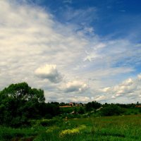 У деревни Жёлтиково. :: Владимир Драгунский