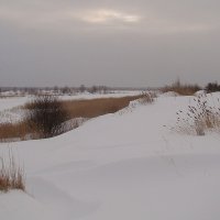 Февраль. :: Елена Перевозникова