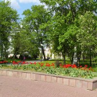 Весна  в   Ивано - Франковске :: Андрей  Васильевич Коляскин