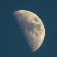 луна :: Адик Гольдфарб