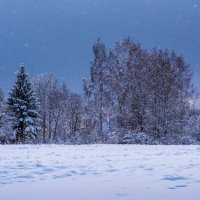 Зимние виды :: Владимир Лазарев