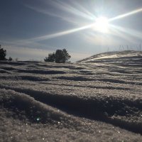 Снежные дюны :: Оксана Ярёменко