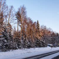 Вечер в Подмосковье. :: Владимир Безбородов