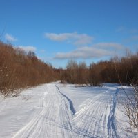 Две дороги. :: Галина .