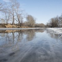 Весенняя вода :: юрий Амосов