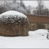 Пока еще падал снег :: Михаил Розенберг