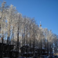 зима :: Александр Попков