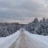 Зимняя дорога :: Владимир Лазарев