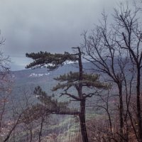 Проливной дождь :: Евгений Зинченко