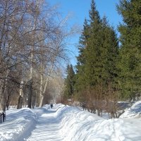 Начало весны в Сибири . :: Мила Бовкун