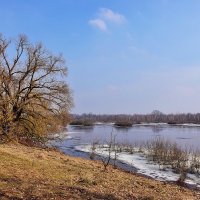 Светлый  день. :: Валера39 Василевский.