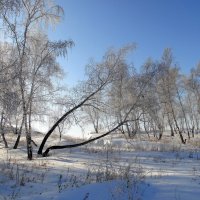 Мартовский пейзаж. :: nadyasilyuk Вознюк