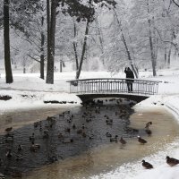 Зимняя речка :: Александр Михайлов