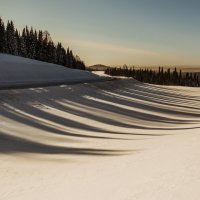 Реснички :: евгения 