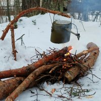 Вкусняшка готовится :: Олег Гаврилов