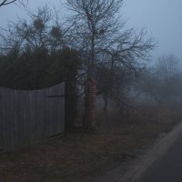 fog :: Влад 