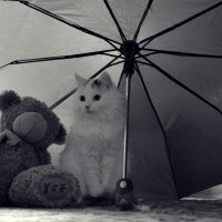 Под зонтиком. :: Анастасия 