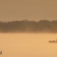 На рыбалке :: Даня Колтунова